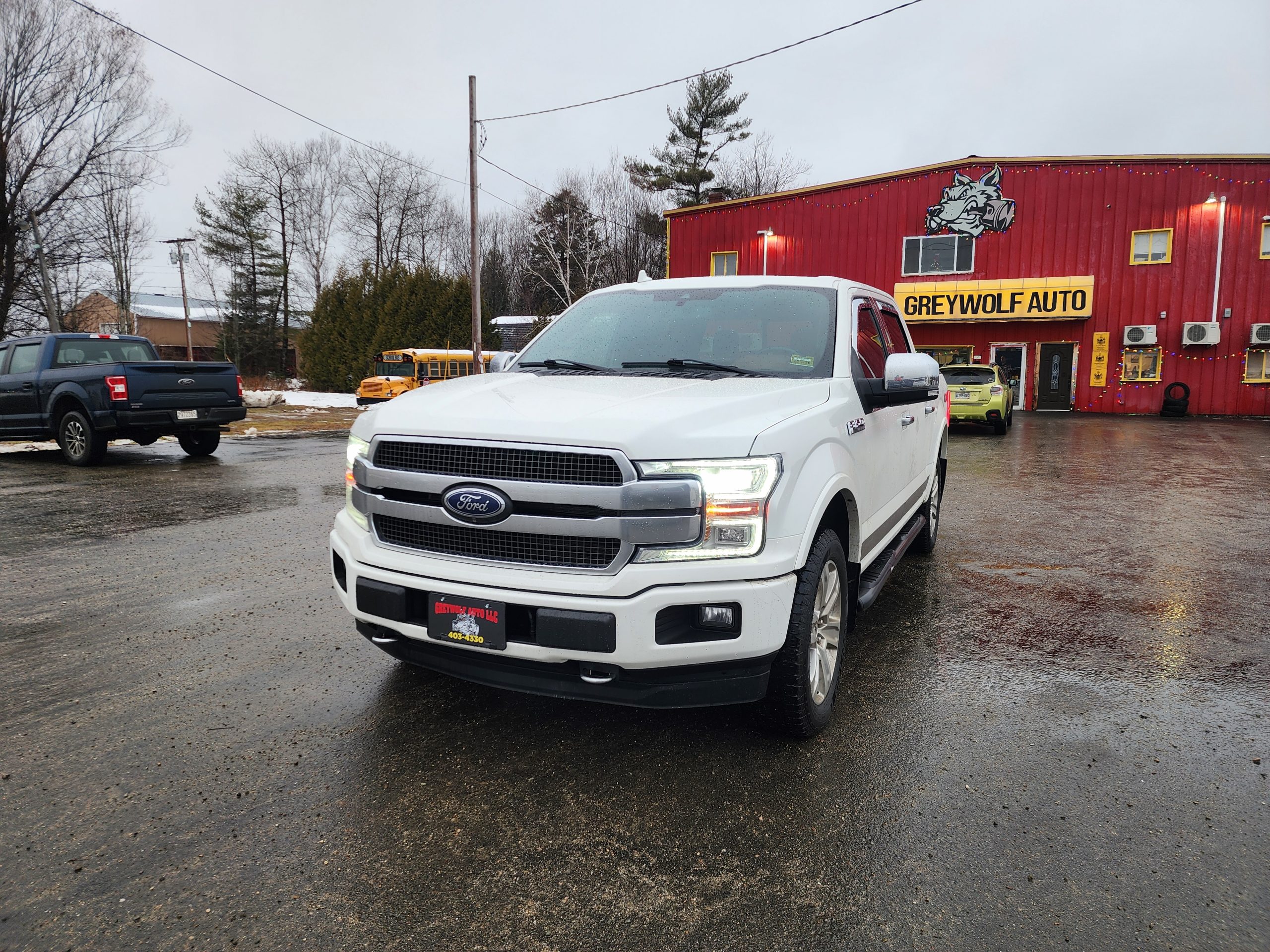 2020 Ford F-150 Platinum's photo